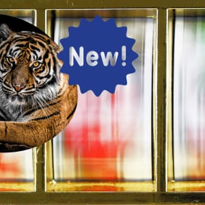 Relax Gaming Mengalu-alukan Kekili Infinity Tiger Kingdom 2022